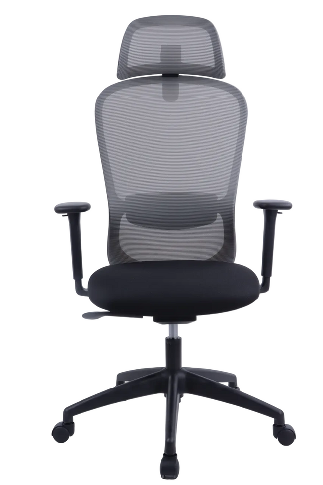 BARON Ergonomic Office Chair with Back Support | Black Mesh | 4D Adjustable Desk Chair for 8-Hour Posture Support | The Office Furniture Tech