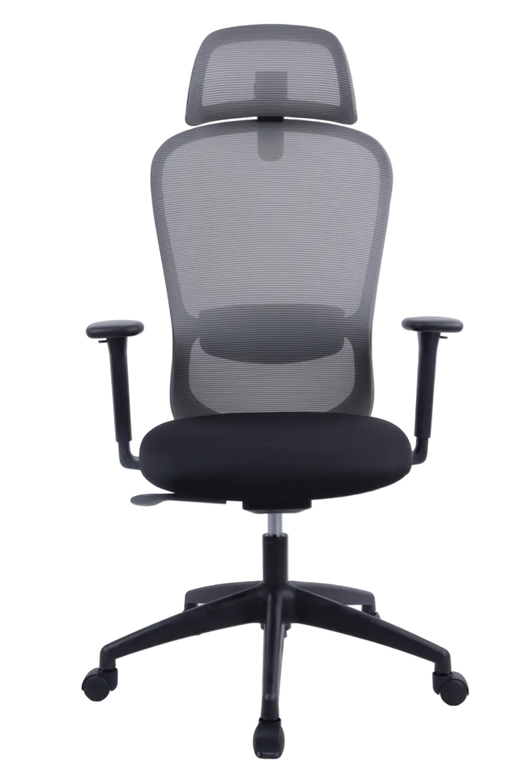 BARON Ergonomic Office Chair with Back Support | Black Mesh | 4D Adjustable Desk Chair for 8-Hour Posture Support | The Office Furniture Tech