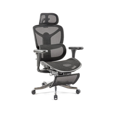 Poise Ergonomic mesh chair - POI300K2-K