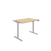 Office Rectangular Single Motor Sit Stand Desk  (FSC)