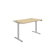 Office Rectangular Single Motor Sit Stand Desk  (FSC)