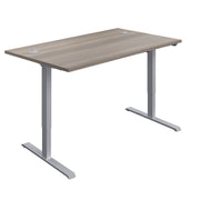 Economy Single Motor Sit Stand Desk (FSC)