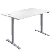 Economy Single Motor Sit Stand Desk (FSC)