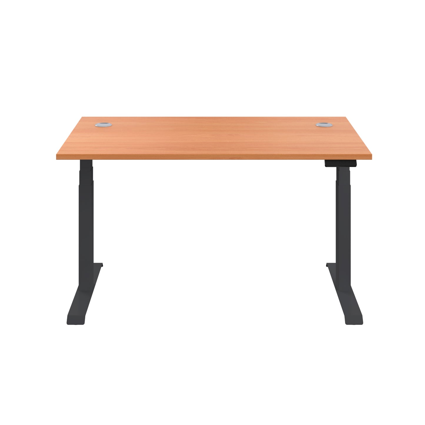 Economy Single Motor Sit Stand Desk (FSC)