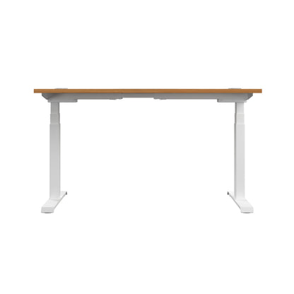 Economy Single Motor Sit Stand Desk (FSC)