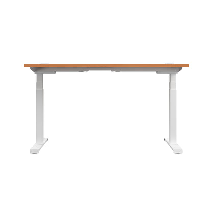 Economy Single Motor Sit Stand Desk (FSC)