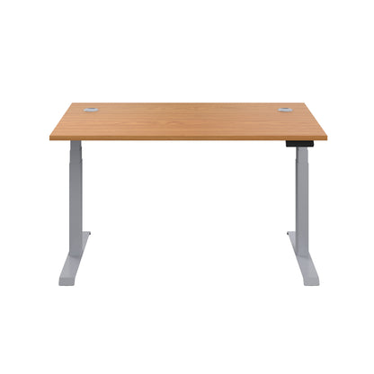 Economy Single Motor Sit Stand Desk (FSC)