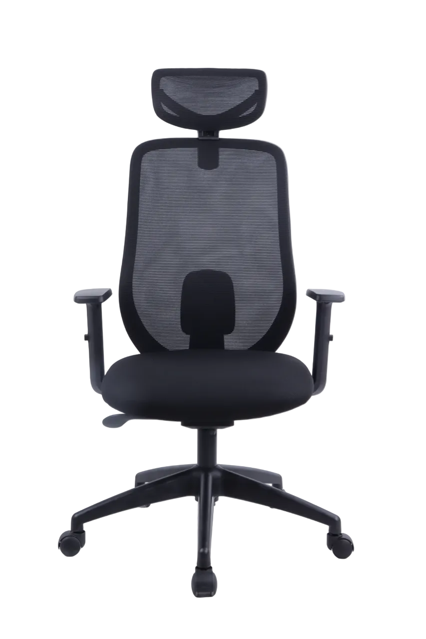 REGENT Ergonomic Office Chair with Lumbar Support, Lightweight Mesh Desk Chair with Targeted Back Support | 2026 Advanced Posture Chair with Headrest & Lumbar