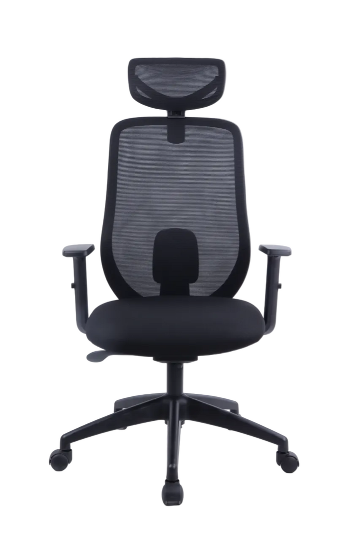 REGENT Ergonomic Office Chair with Lumbar Support, Lightweight Mesh Desk Chair with Targeted Back Support | 2026 Advanced Posture Chair with Headrest & Lumbar