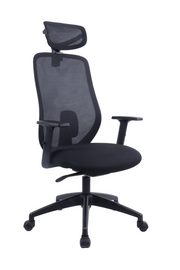 REGENT Ergonomic Office Chair with Lumbar Support, Lightweight Mesh Desk Chair with Targeted Back Support | 2026 Advanced Posture Chair with Headrest & Lumbar