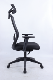 REGENT Ergonomic Office Chair with Lumbar Support, Lightweight Mesh Desk Chair with Targeted Back Support | 2026 Advanced Posture Chair with Headrest & Lumbar