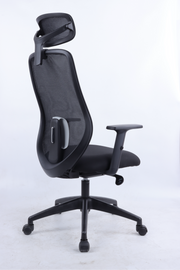 REGENT Ergonomic Office Chair with Lumbar Support, Lightweight Mesh Desk Chair with Targeted Back Support | 2026 Advanced Posture Chair with Headrest & Lumbar