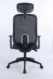 REGENT Ergonomic Office Chair with Lumbar Support, Lightweight Mesh Desk Chair with Targeted Back Support | 2026 Advanced Posture Chair with Headrest & Lumbar