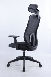 REGENT Ergonomic Office Chair with Lumbar Support, Lightweight Mesh Desk Chair with Targeted Back Support | 2026 Advanced Posture Chair with Headrest & Lumbar
