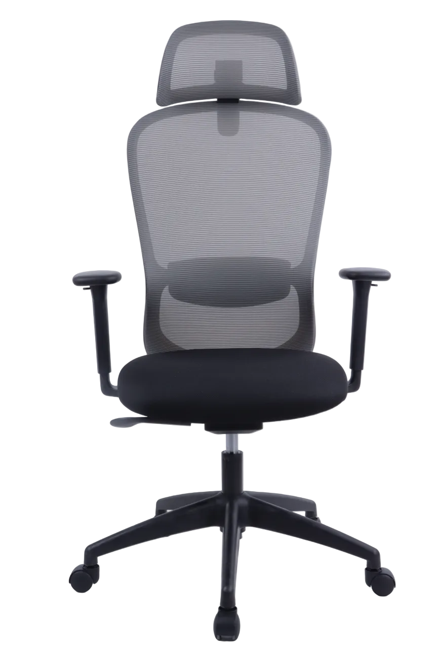 BARON Ergonomic Office Chair with Back Support | Black Mesh | 4D Adjustable Desk Chair for 8-Hour Posture Support | The Office Furniture Tech