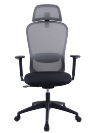 BARON Ergonomic Office Chair with Back Support | Black Mesh | 4D Adjustable Desk Chair for 8-Hour Posture Support | The Office Furniture Tech