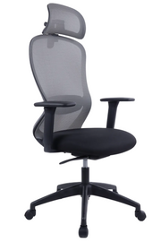 BARON Ergonomic Office Chair with Back Support | Black Mesh | 4D Adjustable Desk Chair for 8-Hour Posture Support | The Office Furniture Tech