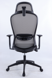 BARON Ergonomic Office Chair with Back Support | Black Mesh | 4D Adjustable Desk Chair for 8-Hour Posture Support | The Office Furniture Tech