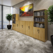Systems combi unit with tambour and glass doors