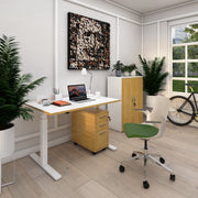Elev8 Mono straight sit-stand desk 800mm deep - Electric desk
