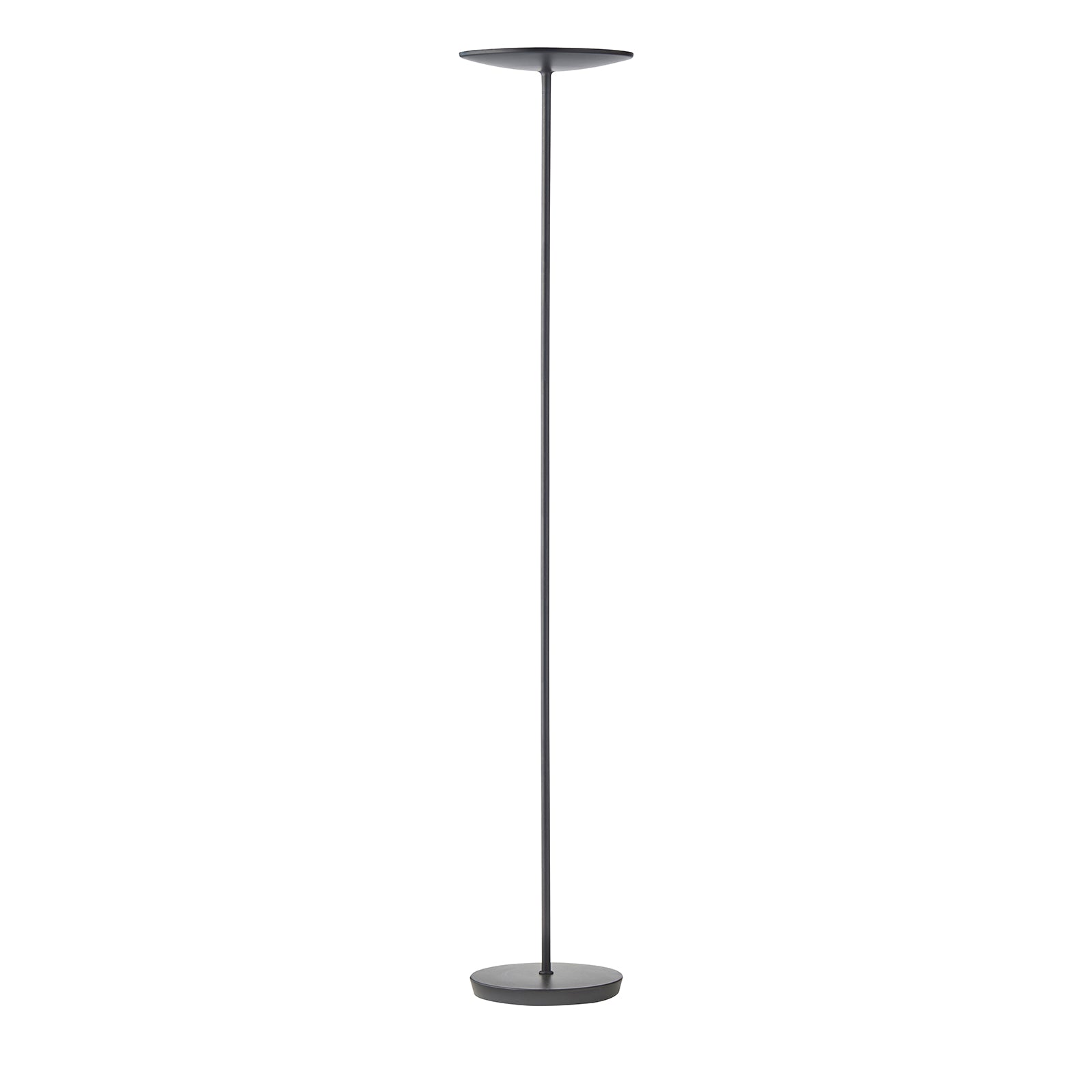 Halsey Floor Lamp