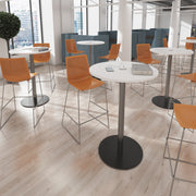 Harmony multi-purpose stool with seat pad