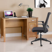 Amazonia home office workstation