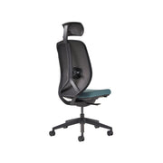 Kura mesh task with head rest