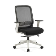 Lotus Mesh back task chair