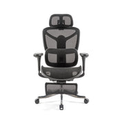 Poise Ergonomic mesh chair