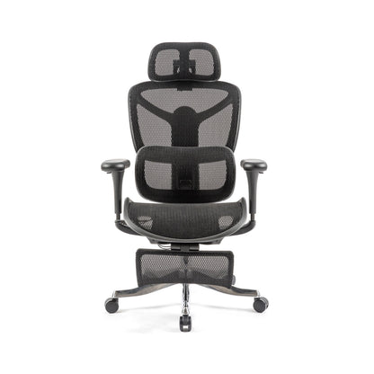 Poise Ergonomic mesh chair