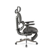 Poise Ergonomic mesh chair