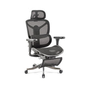 Poise Ergonomic mesh chair