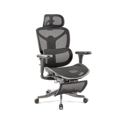 Poise Ergonomic mesh chair - POI300K2-K