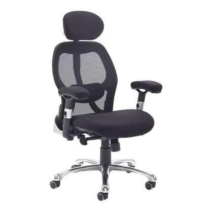 Sandro mesh back executive chair