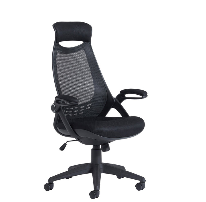 Tuscan mesh high back chair with head support